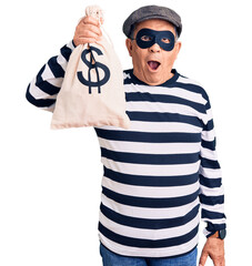 Canvas Print - Senior handsome man wearing burglar mask holding money bag scared and amazed with open mouth for surprise, disbelief face