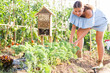 Woman works on garden beds on summer day. High quality photo