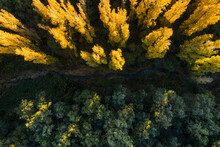 Aerial View Capturing The Contrasting Autumn Colors In The Alcarria Landscape With A Meandering Stream Surrounded By A Mosaic Of Golden Yellow And Deep Green Trees