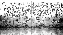 Black And White Photograph Capturing The Poetic Interplay Of Fallen Leaves Entangled On A Chain-link Fence With Their Reflection Creating A Mirror Image On A Wet Surface Below