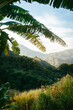 © ADDICTIVE STOCK - Tropical mountain landscape peeking through foliage in Minca, Colombia