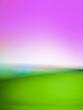 Spring fields with green grass and colorful bright sunset blurred texture