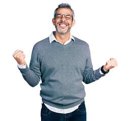 Canvas Print - Middle age hispanic with grey hair wearing glasses very happy and excited doing winner gesture with arms raised, smiling and screaming for success. celebration concept.