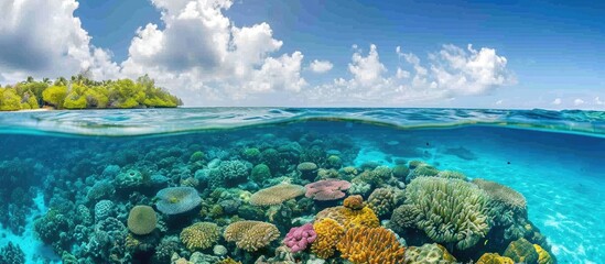 Coral reef seascape with corals, South Male atoll, Maldives.