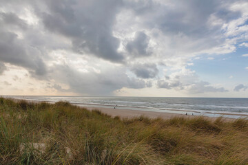 Wall Mural - Dünen und Strand auf der Insel Texel