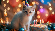  birthday card white cat in a cap with a cake on a background of balloons and bokeh