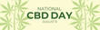 National CBD Bay August 8. Banner or poster in honor of the holiday for website. Yellow background with hemp, cannabis, marijuana leaves. Vector illustration.