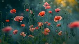 Fototapeta  - field of red poppies, A meadow filled with lush poppies, infinite reflection