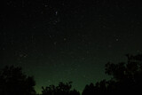 Fototapeta Niebo - Green-blue sky filled with stars and tree shadows.