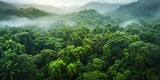 Fototapeta  - view of a lush rainforest canopy from above, with diverse plant life and a sense of untouched natural beauty