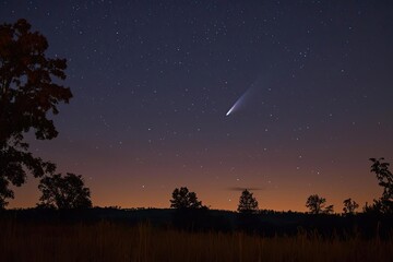 Canvas Print - Comet streaking across the night sky with a glowing tail