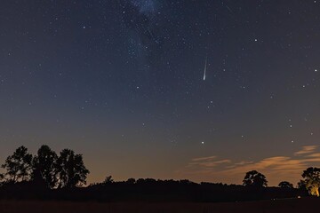 Canvas Print - Comet streaking across a star-filled night sky.