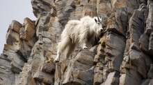 Mountain Goat Scaling The Steep Slopes Of A Majestic Mountain