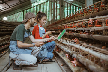 Asian man and woman workers squat use tablet together on chicken farm