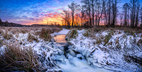 Wall Mural - Beautiful winter sunrise on the forest glade