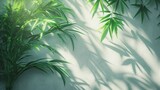 Fototapeta Sypialnia - bamboo leaves on white wall with shadow and light
