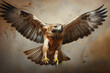 Red-tailed buzzard, Chicken Hawk, Mouse Hawk, Hen Hawk, Red-tail flying
