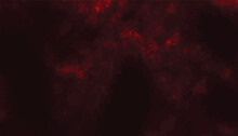 Red And Black Vivid Background. Red Dark Mist Cloud Background. Realistic Fog, Red Smoky Rising Vector. Red Sparkles Pattern Grunge Texture. Red Cloud Smoke Texture.