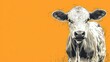  a black and white cow standing in front of an orange background and a black and white cow standing in front of an orange background.