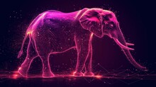  An Elephant Standing In The Middle Of A Purple And Pink Background With Lines And Dots In The Shape Of An Elephant.