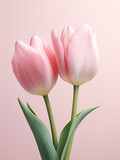 Fototapeta Tulipany - Minimalist composition of pink tulips on a pink background. Ideal for greeting cards. AI Generative.