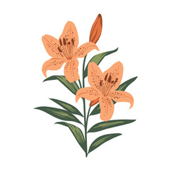 Luxury Lily Flowers Blooming: Trendy Vector Botanical Elements with Hand-Drawn Line Leaves, Branches, Lily Blooms in Colored Silhouette Illustration