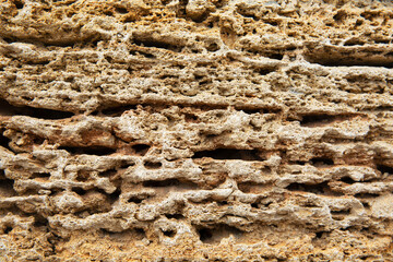 Wall Mural - Porous surface of gray building stone. Repair and construction. Close-up. Space for text. Background.