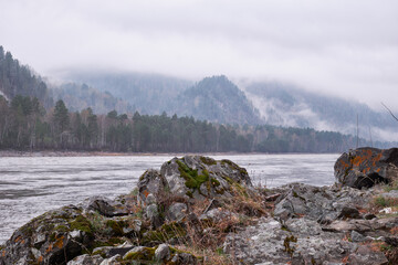 Wall Mural - Altai landscape with morning mist over mountain forest and river Katun. Boulders  are on foreground.