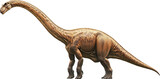 Brachiosaurus on transparent background. PNG