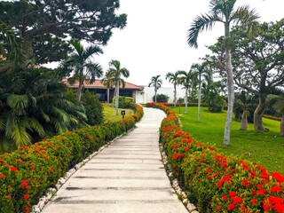 Canvas Print - the beautiful garden of resot hotel in Okinawa Japan