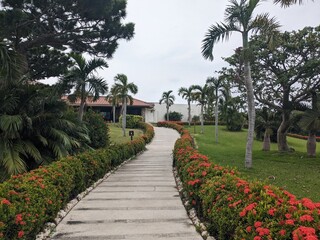 Canvas Print - the beautiful garden of resot hotel in Okinawa Japan