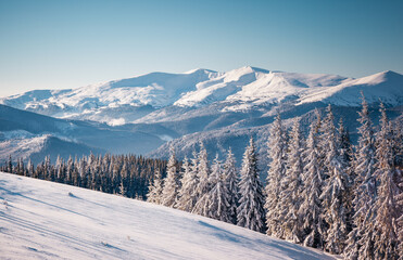 Poster - Exotic winter scene with snowy peaks on a frosty day.