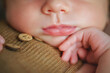 lose-up of a newborn's face. Lips, nose, pen.
A newborn baby sleeps sweetly on a pillow. Baby in a brown bodysuit and a brown hat. Younger brother. Portrait of a newborn. The baby gently touches his 