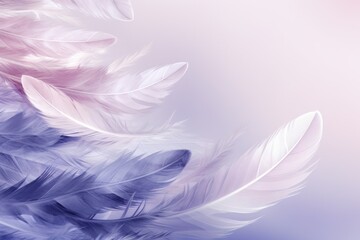 Wall Mural -  a close up of a white feather on a blue and pink background with a pink and white blurry background.