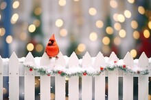  A Red Bird Sitting On Top Of A White Fence Next To A White Picket Fence With Christmas Lights In The Background.