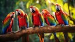 Group of colorful macaws engaged in vibrant midday chatter amid lush foliage