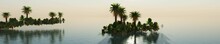 Palm Trees Over Water, Panorama Of Water Landscape With Palm Trees, 3D Rendering
