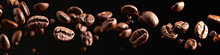 A Falling Coffee Bean Banner, Roasted Coffee Bean On The Air Isolated On A Black Background, International Coffee Day Concept