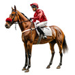 Majestic Jockey on Standing Horse Isolated on transparent Background