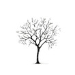 © AI for You - Tree drawing on transparent background PNG