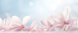 Fototapeta Kwiaty - Spring elegance with ultra wide banner with soft pastel petals, perfect background with copy space
