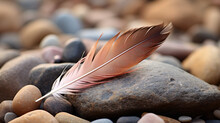 Feather Laying On Top Of A Pile Of Rocks