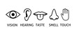 vector icons for the five senses. icons for vision, hearing, taste, smell and touch