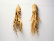 two dried ginseng roots hanging on a white background, in the style of strong facial expression created with Generative Ai