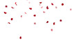 Leinwandbild Motiv Red rose collection set of petals isolated on a transparent background. Red flower petals png. Floating red rose petal. Love valentines day postcard