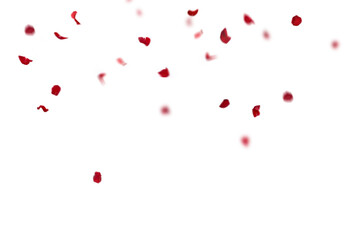 Wall Mural - Red rose collection set of petals isolated on a transparent background. Red flower petals png. Floating red rose petal. Love valentines day postcard