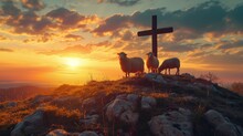 Flock of sheep on cross of Jesus christ and sunset background