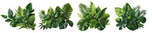 Collection Of Green Leaves Of Tropical Plants Bush (Monstera, Palm, Rubber Plant, Pine, Bird's Nest Fern). PNG, Cutout, Or Clipping Path.	
