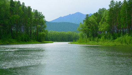 Wall Mural - Minimalist photo of summer forest river with mountain on background