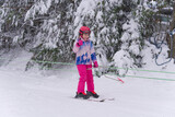 Fototapeta Lawenda - dziewczynaka na nartach